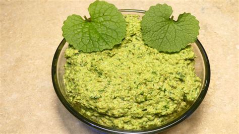 Garlic Mustard Pesto Recipe