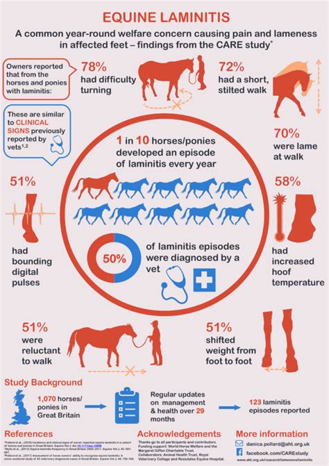 New Study Shows Laminitis is as Common as Colic and a Year Round Threat