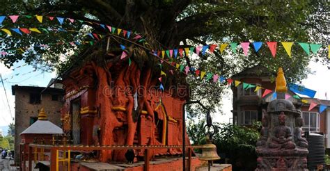 Hindu Tree Shrine in Kathmandu, Nepal Stock Image - Image of town, city: 51174429