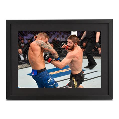 Khabib Framed Photo - UFC 242: Khabib vs Poirier - Khabib Framed Photo ...