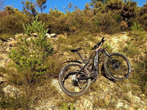 Over 3,300 km 2019 levo carbon comp | EMTB Forums