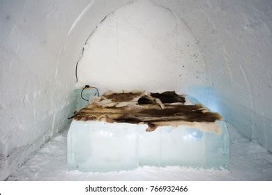 226 Inside An Igloo Images, Stock Photos & Vectors | Shutterstock