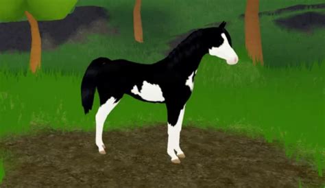 WILD HORSE ISLANDS Roblox Black Sabino Arabian $25.00 - PicClick