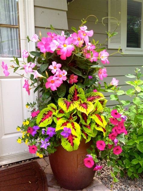 99 Simple Summer Container Garden Flowers And Formula (53) - 99Architecture | Container ...