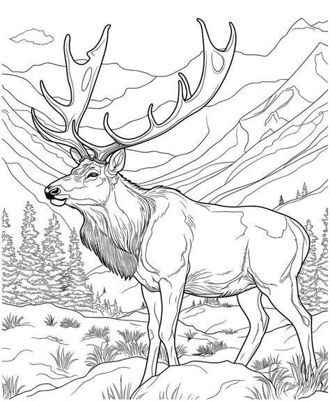 elk hunting coloring pages 27465919 Vector Art at Vecteezy