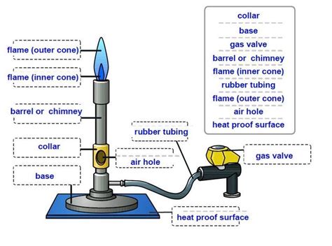 Bunsen Burner Diagram | Hot Sex Picture