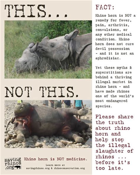 Rhino Poaching Awareness Poster [Warning: Graphic Image] | Rhino Horn is NOT Medicine