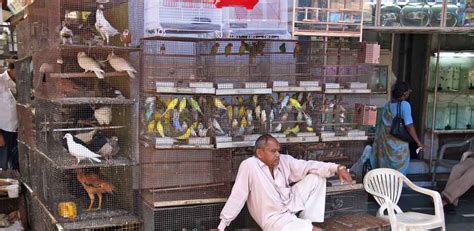 Crawford Market, Mumbai - Best fruits market in the Indian city of Mumbai