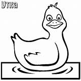 5 Little Ducks Coloring Pages sketch template