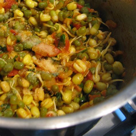 Chachi's Kitchen: Sprouted Mung jo shaak / Sprouted Mung Bean Curry