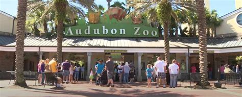 Audubon Zoo - Online Animal Kingdom