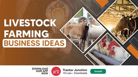 Top 10 Most Profitable Livestock Farming Business Plan in India 2022 (2022)