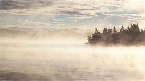 Different types of fog and how they form