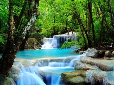 Forest Waterfall wallpaper – What We Have Learned From Romney, Ryan and The Elite | Waterfall ...