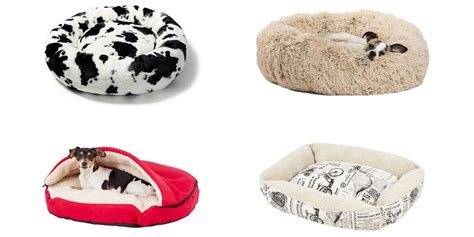 15 Cute Dog Beds We're Loving From Chewy | Nurtured Paws