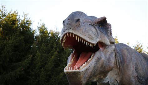 Hoo Zoo and Dinosaur World – iVisit