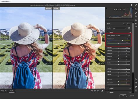 How to Set White Balance in Photoshop: 2 Methods