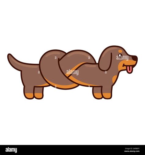 Cute cartoon dachshund with body tied in knot, funny long wiener dog doodle. Isolated vector ...