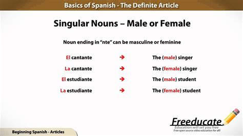 Basics of Spanish - The Definite Article and the Gender of Nouns - YouTube