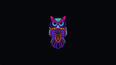 HD wallpaper: owl, bird, flight, snowy owl, white owl | Wallpaper Flare