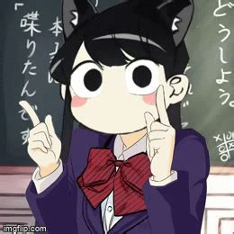 Neko Komi-san Because Why Not? - Imgflip