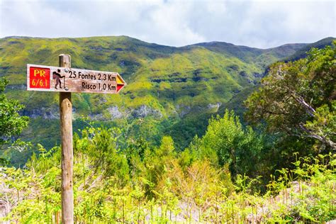 10 of the Best Levada Walks in Madeira