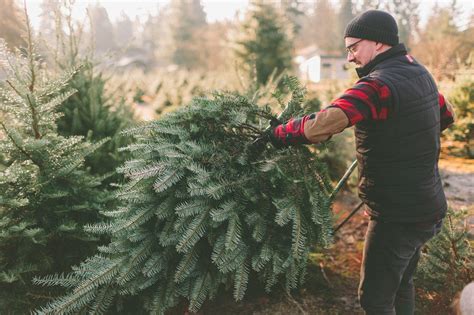 Stocker Farms | Snohomish, WA | Stalker Farms