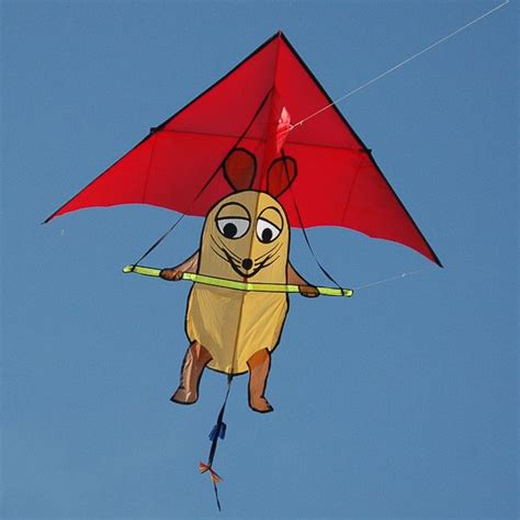 .What is it? A hang-gliding peanut? A wonderful humorous kite ...