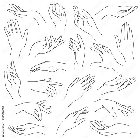 Female hands line. Outline elegant woman hand gestures. Beautiful palm and fingers icons in one ...