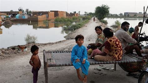 Pakistan floods: Satellite images and maps show scale of disaster | World News | Sky News