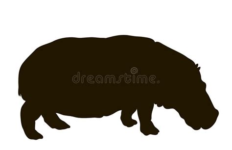 Silhouette of hippopotamus stock vector. Illustration of animal - 14335213