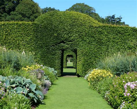 Levens Hall :: Gardens | Victorian gardens, British garden, Topiary garden