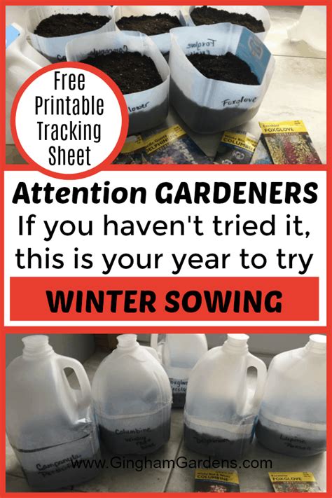 Winter Sowing (Yes You Can Garden in Winter) - Gingham Gardens