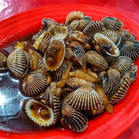 6 Jenis Kerang-kerangan Laut Lezat yang Ada di Kepulauan Riau