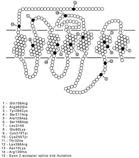 Previously described GnRH receptor mutations. | Download Scientific Diagram