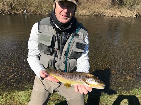 Flymanpete: 2017 brown trout season on the River Clyde