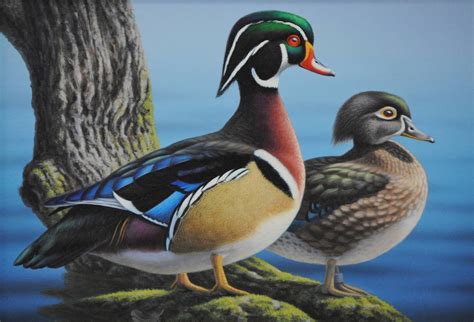 Ron Louque - Wood Ducks For Sale at 1stDibs | ronald j louque artist, wood ducks for sale, wood ...