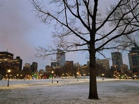 Boston Common Tree Lighting 2023: Canadian Leader Is Special Guest ...