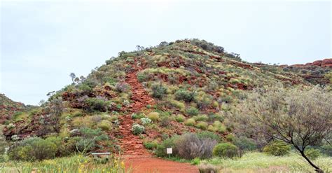 Chaparral Biome Facts About Location, Climate, Plants & Animals