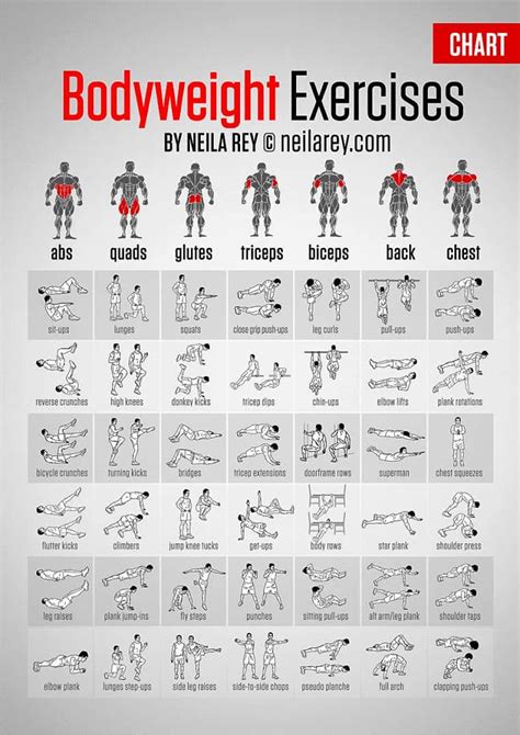 Get Fit Without Weights: Bodyweight Exercises [Chart] | Daily Infographic