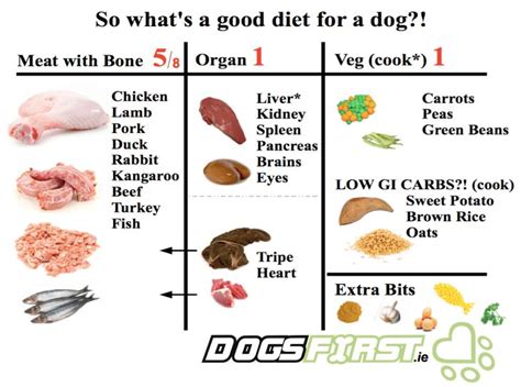 Dog Food For Pregnant Dogs - http://pets-ok.com/dog-food-for-pregnant-dogs-dogs-2353.html | Raw ...