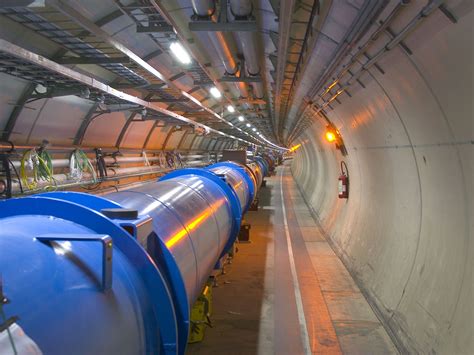 Weasel Apparently Shuts Down World's Most Powerful Particle Collider