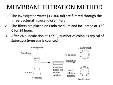 Microflora and sanitary-indicative bacteria of the soil, water, air the ...