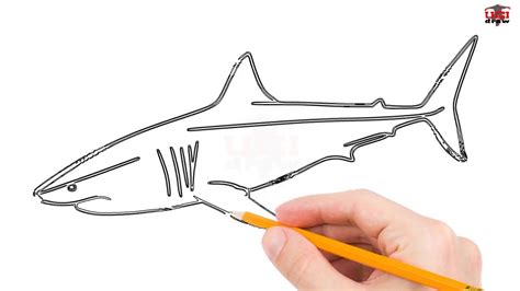 How To Draw A Realistic Fish Easy - This free step by step lesson progressively builds upon each ...