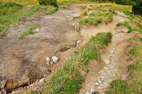 Soil erosion of earth by water and walking Stock Photo | Adobe Stock