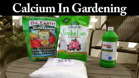 7 Photos Calcium Carbonate Uses In Garden And Review - Alqu Blog