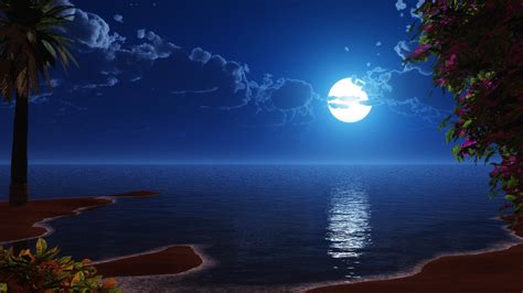Download wallpaper 1600x900 tropical beach, coast, full moon, night ...