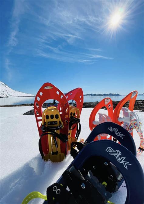 Snowshoe Hiking – Arctic Excursions