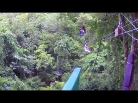 Antigua Zip Line | Rainforest Canopy Tour | Ziplining, Antigua caribbean, Antigua