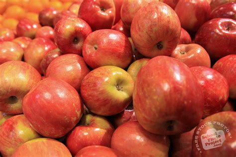 Apple, FREE Stock Photo, Image, Picture: Fuji Apples, Royalty-Free ...